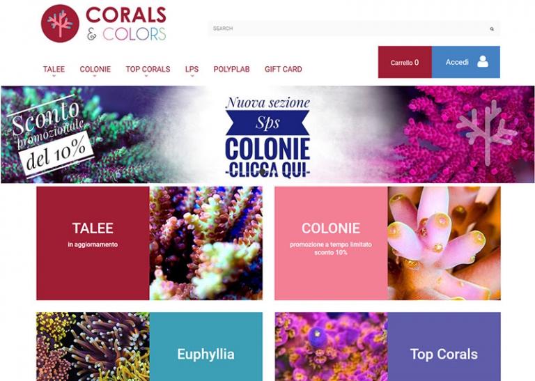 coralsandcolors